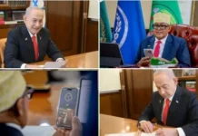 Somaliland’s Moment at the Security Council: A New Era of Opportunities for Growth and Collaboration