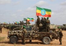 MPs have accused Ethiopian troops of not complying with the orders of Southwest State’s authority.