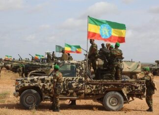 MPs have accused Ethiopian troops of not complying with the orders of Southwest State’s authority.
