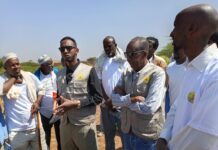 Somaliland Institute of Agriculture Research Showcases Climate-Resilient Crops at Farmers’ Field Day in Aburriin