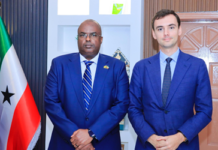 Somaliland Defense Minister Holds Talks with French Horn of Africa Political Chief