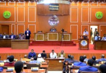 Republic of Somaliland’s Parliament Unanimously Endorses Israel’s Historic Recognition of Its Sovereignty