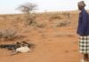 Somaliland Parliament Calls for Urgent Action on Worsening Drought Crisis