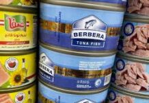 Somaliland to export fish to Saudi Arabia