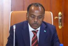 The Somali Minister stated that the US has strategic interests that compel them to maintain a presence in the country