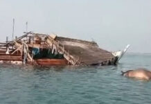 A cargo vessel carrying livestock capsized in the Bab al-Mandab Strait after departing from Berbera.