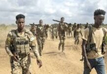 NISA has reported that it successfully eliminated 40 Al-Shabab fighters during recent operations in the Hiiraan and Lower Shabelle provinces.