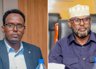 Two cabinet ministers have resigned from Somalia’s government due to a dispute over amending the constitution.