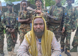 Jubaland troops apprehend Al-Shabab member in Afmadow