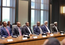 The Somali Future Council strongly opposes the proposed amendment to the constitution.