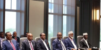 The Somali Future Council strongly opposes the proposed amendment to the constitution.