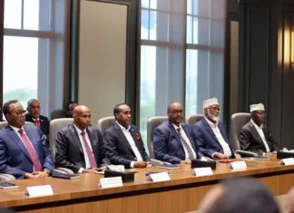 The Somali Future Council strongly opposes the proposed amendment to the constitution.