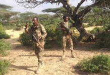 The Security and National Army (SNA) has joined forces with AUSSOM troops to carry out a security operation in the Lower Shabelle region.