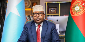 Defense ministry has announced that an airstrike has successfully eradicated 80 Al-Shabab fighters.