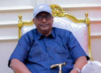 Somaliland Police Chief Returns Home After High-Level Security Talks in UK
