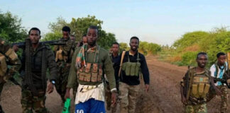 An Al-Shabaab leader has surrendered to the Somali National Army.