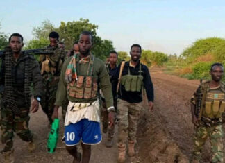 An Al-Shabaab leader has surrendered to the Somali National Army.