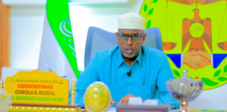 Somaliland has formed an investigation committee to look into the arrests of youths who participated in protests in Borama