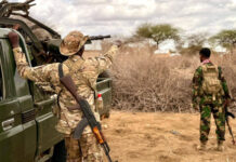 Six Al-Shabab members were successfully eliminated in an operation carried out in the Lower Shabelle region.