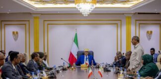 President Abdirahman Irro Chairs 63rd Session of Somaliland Council of Ministers