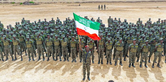 Somaliland troops