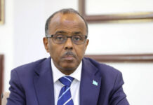 Somali Minister Denies reports that he visited Israel