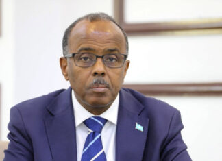 Somali Minister Denies reports that he visited Israel