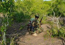 Al-Shabab’s reinforcements from Jilib join the ongoing battle in Lower Jubba region