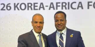 The Foreign Minister of Somalia meets with his Egyptian counterpart in Seoul.