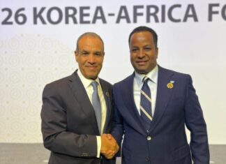 The Foreign Minister of Somalia meets with his Egyptian counterpart in Seoul.
