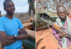 Two members of Al-Shabaab surrender to the Somali National Army.