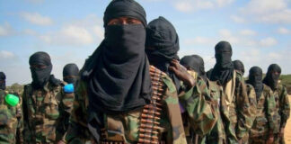 Eight members, including Al-Shabaab commanders, were killed in an operation on the outskirts of Basra.