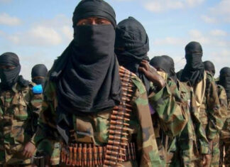 Eight members, including Al-Shabaab commanders, were killed in an operation on the outskirts of Basra.
