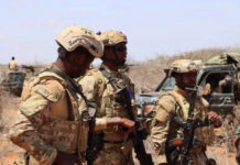 Danab forces and Jubbaland Dervish troops conducted an operation in Lower Juba, killing Al-Shabaab officers and fighters.