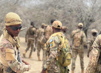 Federal Government and Jubaland forces destroy seven Al-Shabaab bases on the outskirts of Jilib.