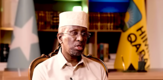 Former Somali President Denies allegations that he maintains political and financial ties with the UAE.