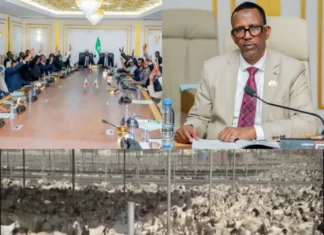 Somaliland Cabinet Approves Landmark Livestock Quarantine Law to Strengthen Exports and Animal Welfare