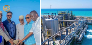 Somaliland Launches First Seawater Desalination Plant in Zeila to Tackle Water Scarcity
