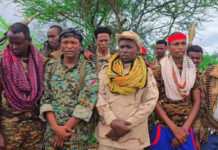 The former District Commissioner of Awdiinle, along with 150 militiamen surrender to government forces