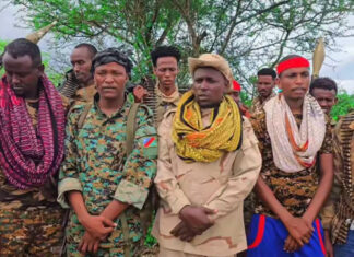 The former District Commissioner of Awdiinle, along with 150 militiamen surrender to government forces