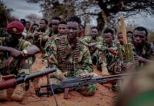 Somali military prevents Al-Shabaab from seizing an area in the Hiiran region.