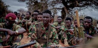 Somali military prevents Al-Shabaab from seizing an area in the Hiiran region.