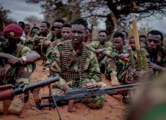 Somali military prevents Al-Shabaab from seizing an area in the Hiiran region.