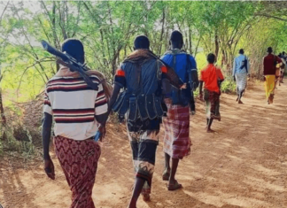 Somali Local Forces Kill Two Al-Shabaab Leaders in Middle Shabelle – defense ministry