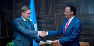 Deputy Minister of Foreign Affairs Receives Copy of European Union Ambassador’s Credentials