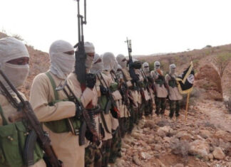 Security Council reveals the number of ISIS fighters in Somalia.