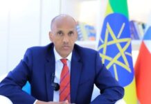 The President of the Somali Regional State accuses the ONLF rebel group of seeking to plunge the region into turmoil.