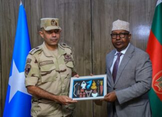 The Minister of Defense Received a Delegation of Military Officers from Egypt