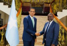 Somalia’s Ambassador to Kenya Meets with WHO Representative for Somalia