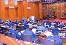 Somaliland Parliament backs President Irro’s diplomatic efforts.